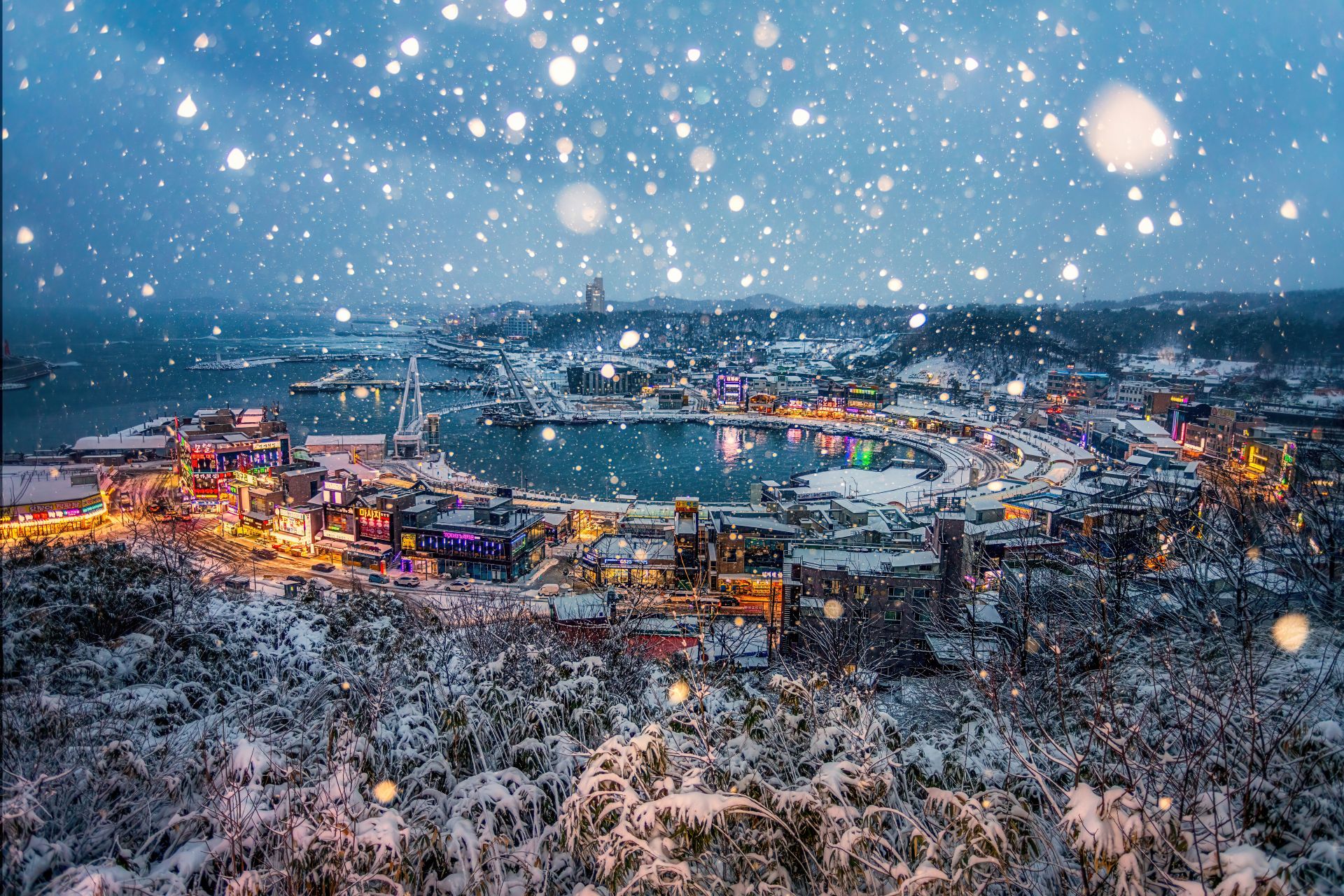 작가:황보달, 어항명:대포항, 작품명:눈꽃이 내리는 항구의 저녁