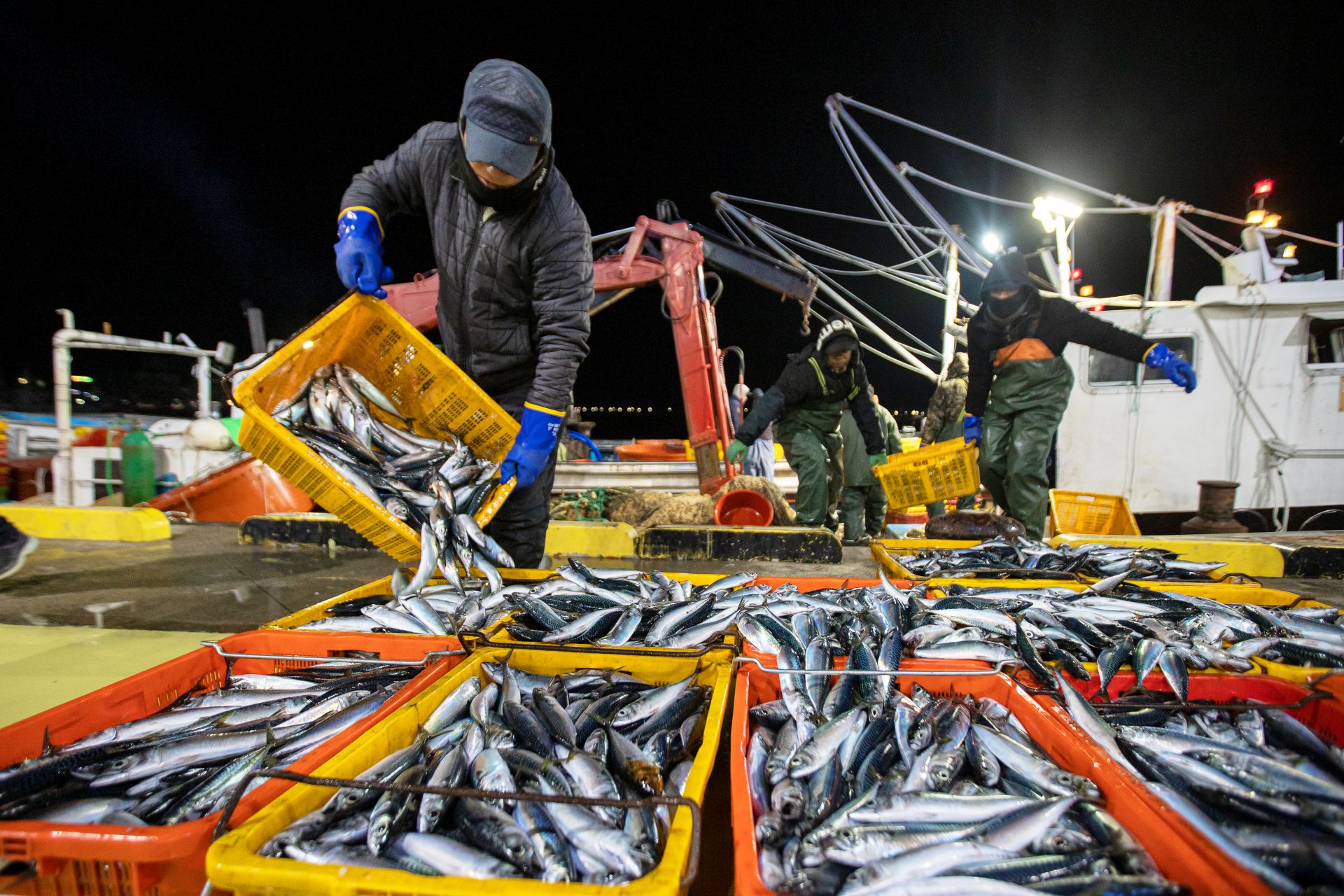 작가:송시봉, 어항명:죽변항, 작품명:고등어가 대박입니다